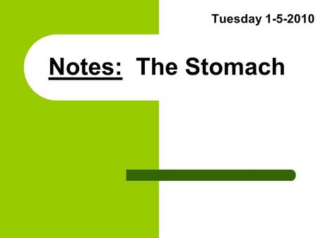 Notes: The Stomach Tuesday 1-5-2010. (1) Overall Function Break down “bolus” from esophagus. Metabolize ALL Carbohydrates. Begin Protein Metabolism.
