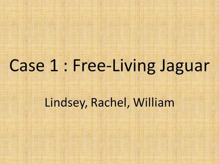 Case 1 : Free-Living Jaguar Lindsey, Rachel, William.