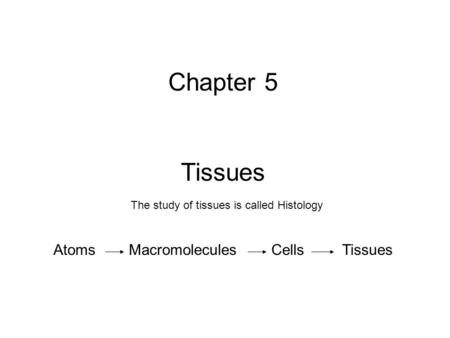 Chapter 5 Tissues Atoms Macromolecules Cells Tissues The study of tissues is called Histology.