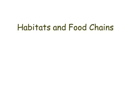 Habitats and Food Chains. What is an ecosystem? An ecosystem refers to all the animals and plants found in one place, and the way they all live together.