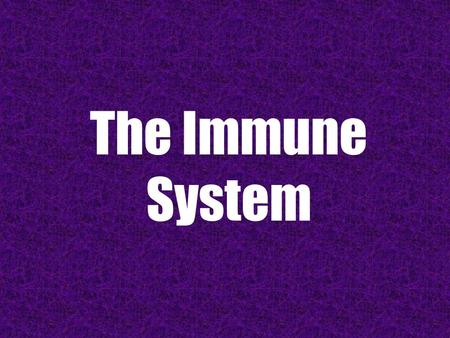 The Immune System. Your immune system is very important to us! Without your immune system, you would be SICK all of the time!