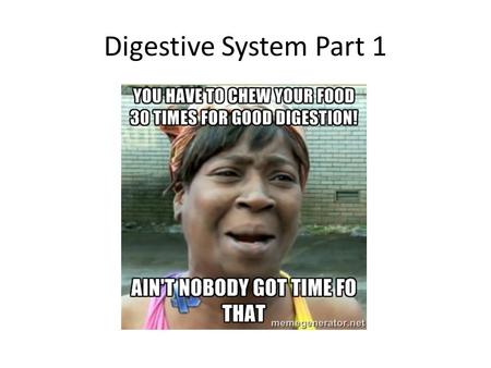 Digestive System Part 1. Digestive Function The digestive system has one goal only: to put nutrients into the bloodstream so that all our cells can access.