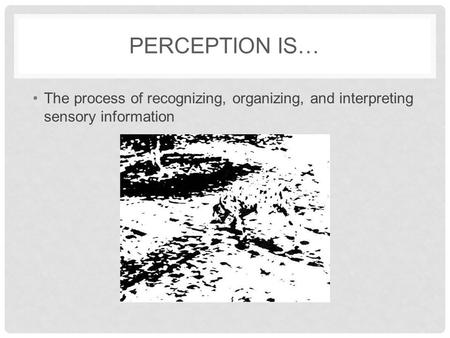 Perception Is… The process of recognizing, organizing, and interpreting sensory information.