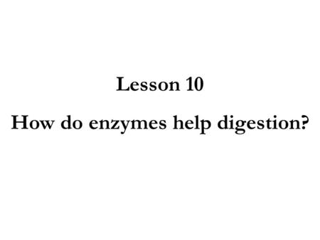 How do enzymes help digestion?