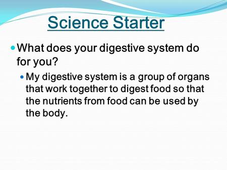 Science Starter What does your digestive system do for you?