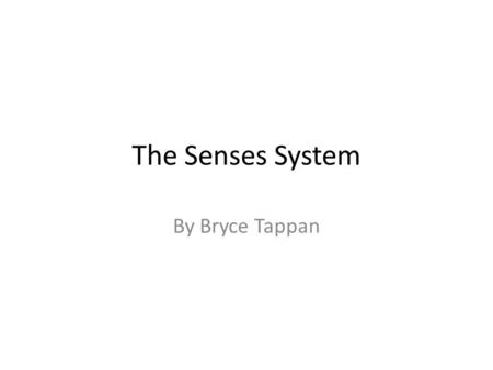 The Senses System By Bryce Tappan. Mechanoreceptors Mechanoreceptors are neurons that create allow for ability to feel things. Sensory nerve endings detect.