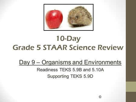 © 10-Day Grade 5 STAAR Science Review Day 9 – Organisms and Environments Readiness TEKS 5.9B and 5.10A Supporting TEKS 5.9D.