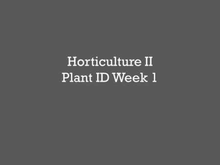 Horticulture II Plant ID Week 1. C HAMAECYPARIS PISIFERA ‘Gold Mop’ Gold Mop Chamaecyparis Evergreen perennial Shrub Growth Habit – Height: 2-4’ – Width: