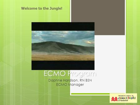 Daphne Hardison, RN BSN ECMO Manager Welcome to the Jungle!