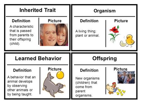 Inherited Trait Organism Learned BehaviorOffspring DefinitionPictureDefinitionPicture A characteristic that is passed from parents to their offspring (child).