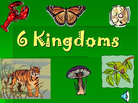 6 Kingdoms.