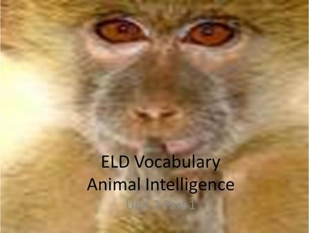 ELD Vocabulary Animal Intelligence Unit 2 Part 1.