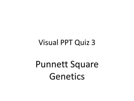 Punnett Square Genetics