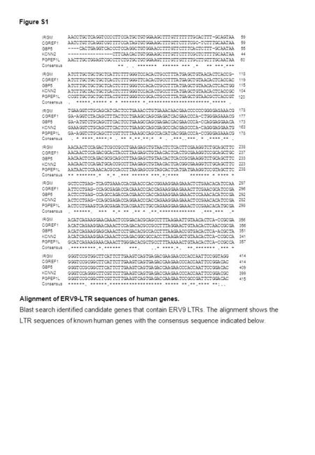 Alignment of ERV9-LTR sequences of human genes. Blast search identified candidate genes that contain ERV9 LTRs. The alignment shows the LTR sequences of.