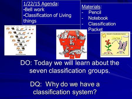 DO: Today we will learn about the seven classification groups.