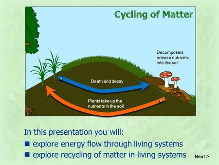 Explore energy flow through living systems In this presentation you will: Death and decay Decomposers release nutrients into the soil Plants take up the.