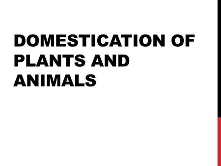 Domestication of plants and animals