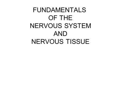 FUNDAMENTALS OF THE NERVOUS SYSTEM AND NERVOUS TISSUE