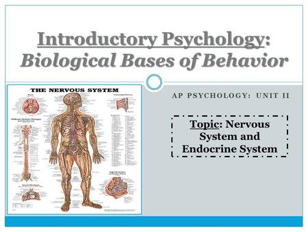 AP PSYCHOLOGY: UNIT II Introductory Psychology: Biological Bases of Behavior Topic: Nervous System and Endocrine System.