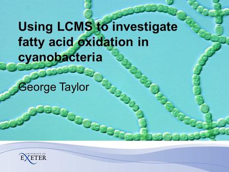 Using LCMS to investigate fatty acid oxidation in cyanobacteria