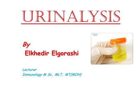 Urinalysis By Elkhedir Elgorashi Elkhedir Elgorashi Lecturer Immunology M Sc, MLT, MT(MOH)