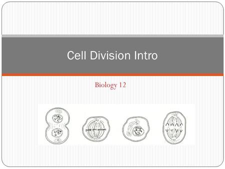Biology 12 Cell Division Intro. Review: Cell Theory 1. All living things are composed of one or more cells 2. The cell is the smallest entity that retains.