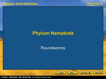 Simple InvertebratesSection 4 Phylum Nematoda Roundworms.