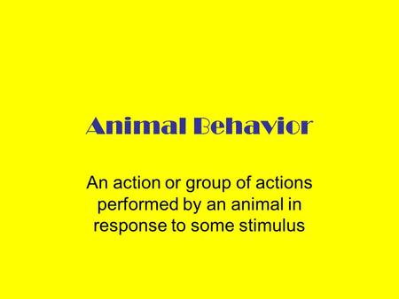 Animal Behavior An action or group of actions performed by an animal in response to some stimulus.
