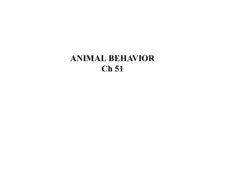 ANIMAL BEHAVIOR Ch 51. Animal behavior involves the actions of muscles and glands, which are under the control of the nervous system, to help an animal.