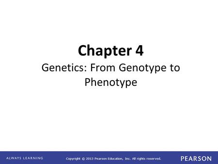 Copyright © 2013 Pearson Education, Inc. All rights reserved. Chapter 4 Genetics: From Genotype to Phenotype.