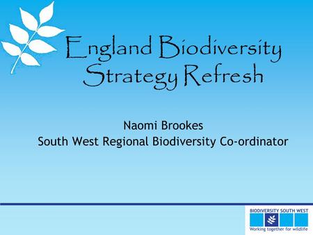 England Biodiversity Strategy Refresh Naomi Brookes South West Regional Biodiversity Co-ordinator.
