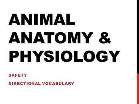 ANIMAL ANATOMY & PHYSIOLOGY SAFETY DIRECTIONAL VOCABULARY.
