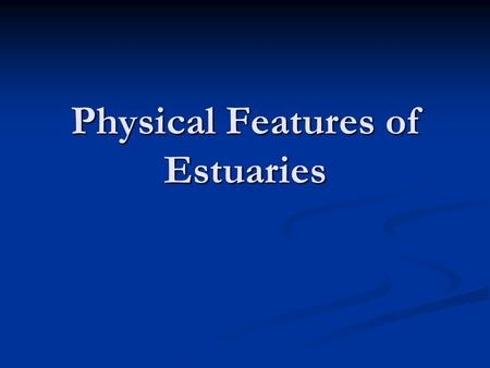 Physical Features of Estuaries. Basic Information Estuaries vary in origin, size and type Estuaries vary in origin, size and type Also called: lagoons,