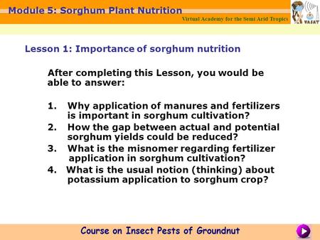 Virtual Academy for the Semi Arid Tropics Course on Insect Pests of Groundnut Module 5: Sorghum Plant Nutrition After completing this Lesson, you would.