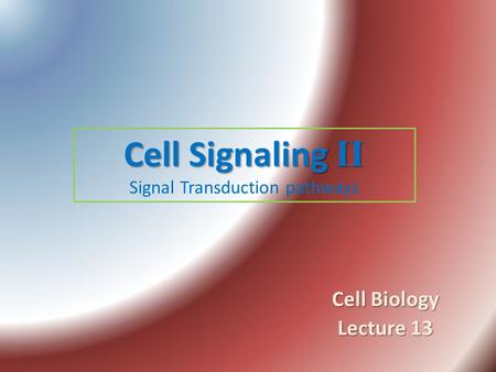 Cell Signaling II Signal Transduction pathways