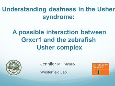 Understanding deafness in the Usher syndrome: A possible interaction between Grxcr1 and the zebrafish Usher complex Jennifer M. Panlilio Westerfield Lab.