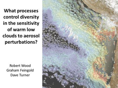 What processes control diversity in the sensitivity of warm low clouds to aerosol perturbations? Robert Wood Graham Feingold Dave Turner.