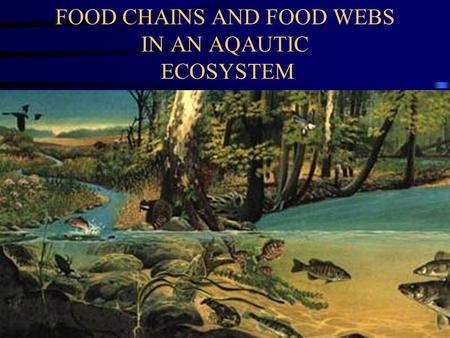 FOOD CHAINS AND FOOD WEBS IN AN AQAUTIC ECOSYSTEM.