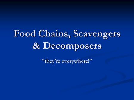 Food Chains, Scavengers & Decomposers “they’re everywhere!”