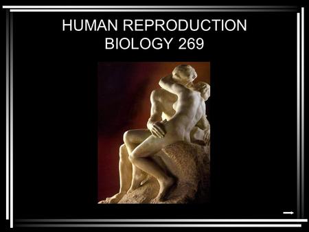 HUMAN REPRODUCTION BIOLOGY 269. Today’s Humor: We also think, and I’m sorry, gentlemen, if this disturbs any of your egos, that condoms should be marketed.