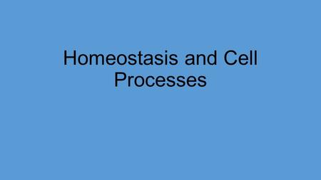 Homeostasis and Cell Processes. Homeostasis For your body to stay healthy cells must : 1.Obtain and use energy 2.Make new cells 3.Exchange material 4.Eliminate.