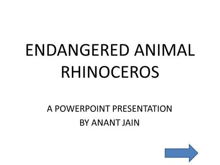 ENDANGERED ANIMAL RHINOCEROS
