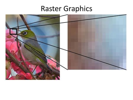 Raster Graphics. An image is considered to be made up of small picture elements (pixels). Constructing a raster image requires setting the color of each.