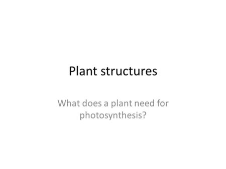 Plant structures What does a plant need for photosynthesis?