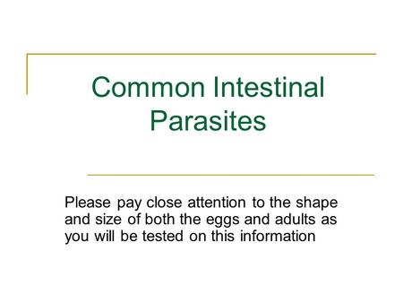 Common Intestinal Parasites Please pay close attention to the shape and size of both the eggs and adults as you will be tested on this information.