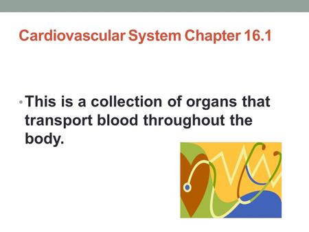 Cardiovascular System Chapter 16.1 This is a collection of organs that transport blood throughout the body.