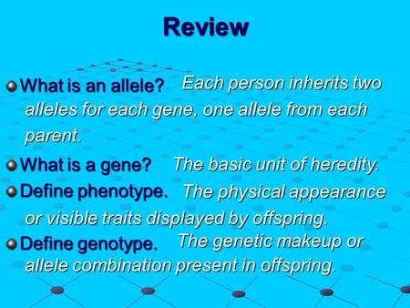 Review What is an allele? What is a gene? Define phenotype. Define genotype. Each person inherits two Each person inherits two alleles for each gene, one.