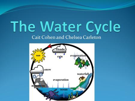 Cait Cohen and Chelsea Carleton. How Is Water Cycled in the Biosphere? Hydrologic cycle/water cycle Collects, purifies, distributes earth’s supply of.