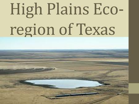 High Plains Eco-region of Texas