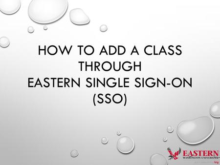 HOW TO ADD A CLASS THROUGH EASTERN SINGLE SIGN-ON (SSO)